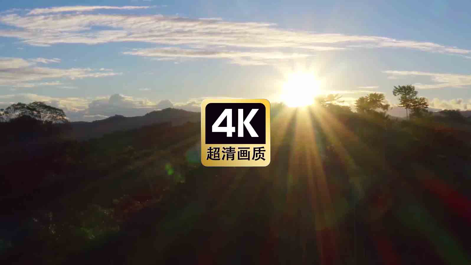 短视频素材日光升上森林树梢