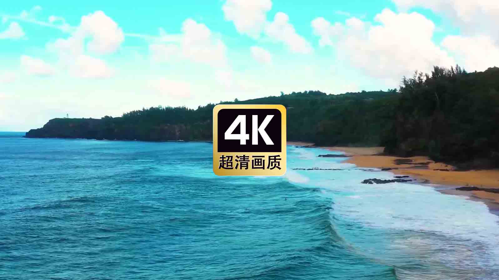 短视频素材航拍热带海滩