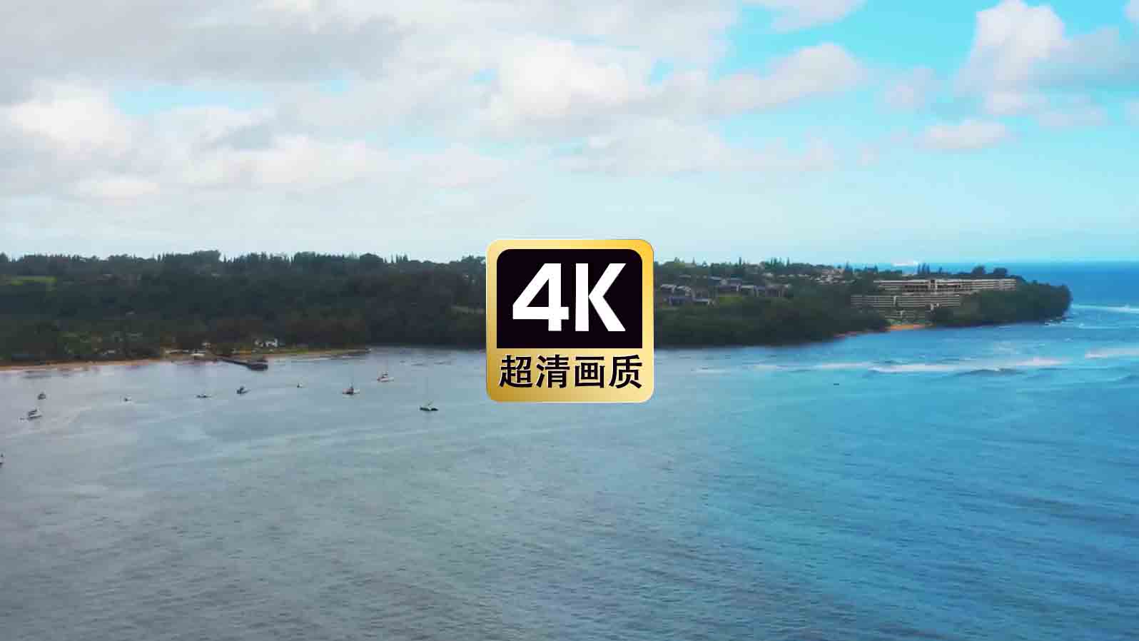 短视频素材航拍海岸丛林美景