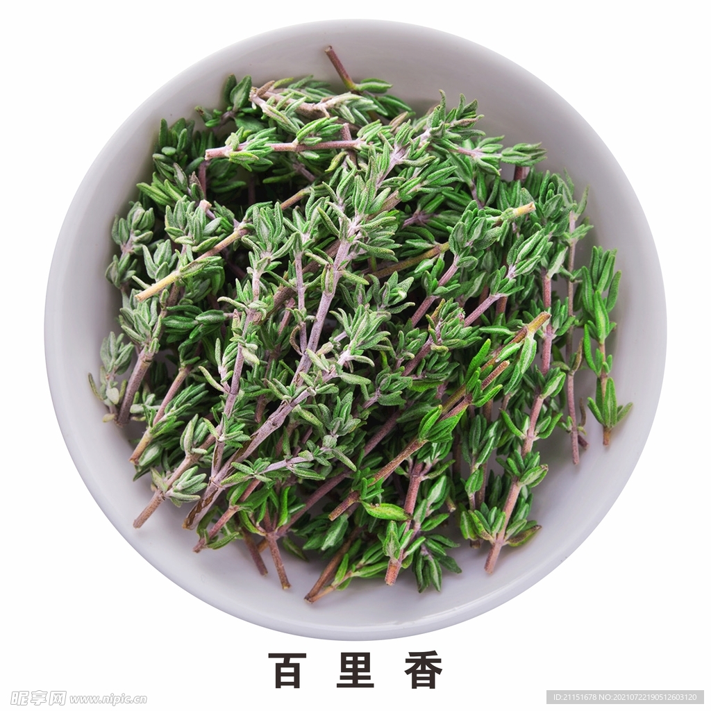 百里香免抠素材