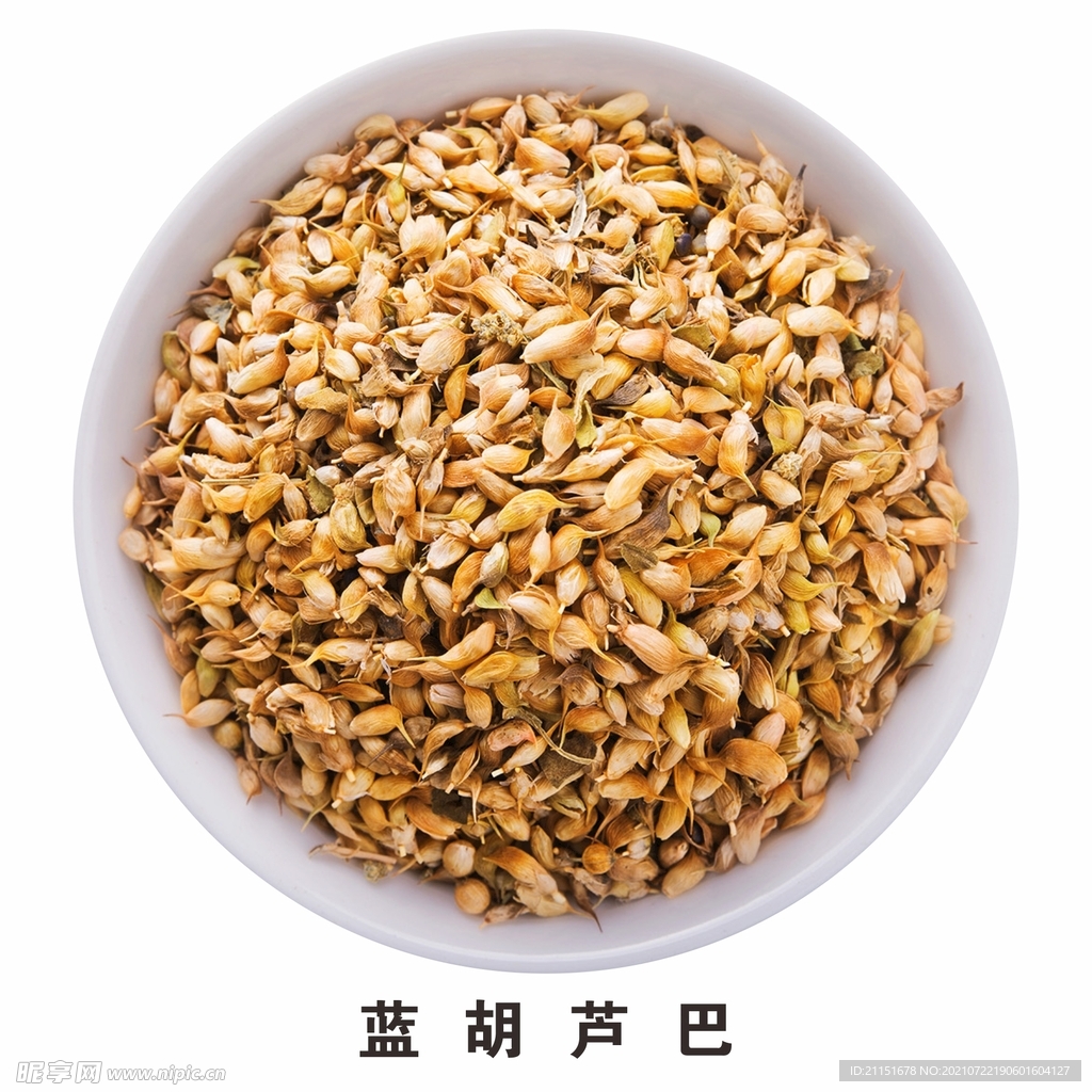 蓝葫芦巴