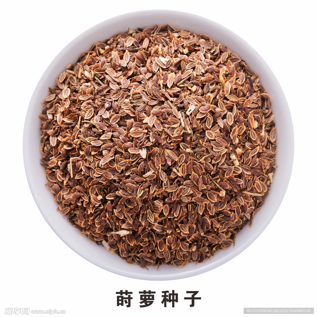 莳萝种子免抠素材