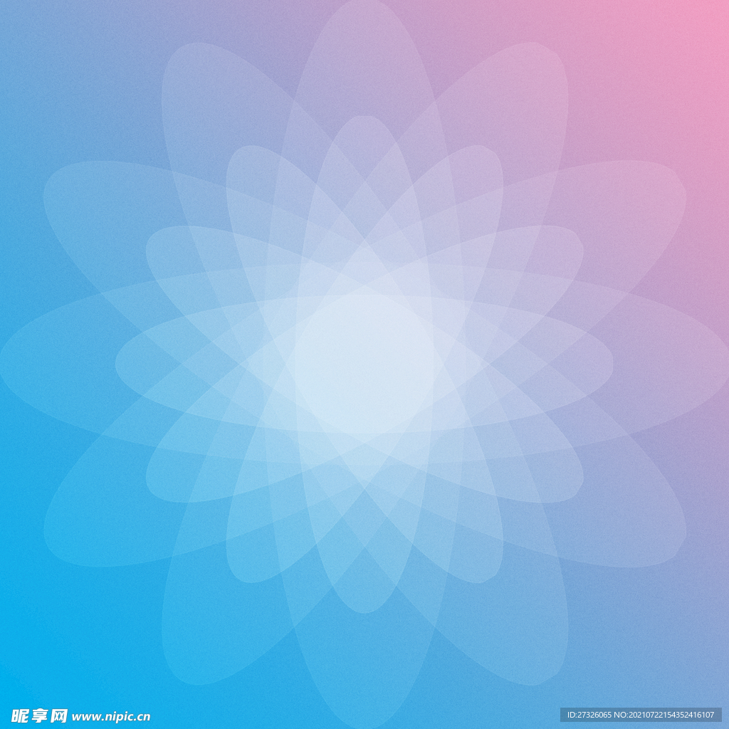 花瓣背景 