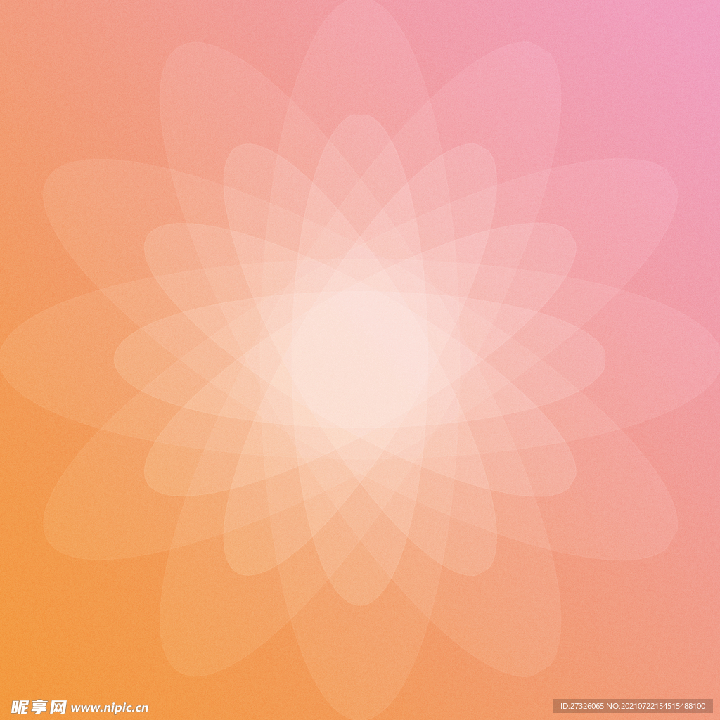花瓣背景