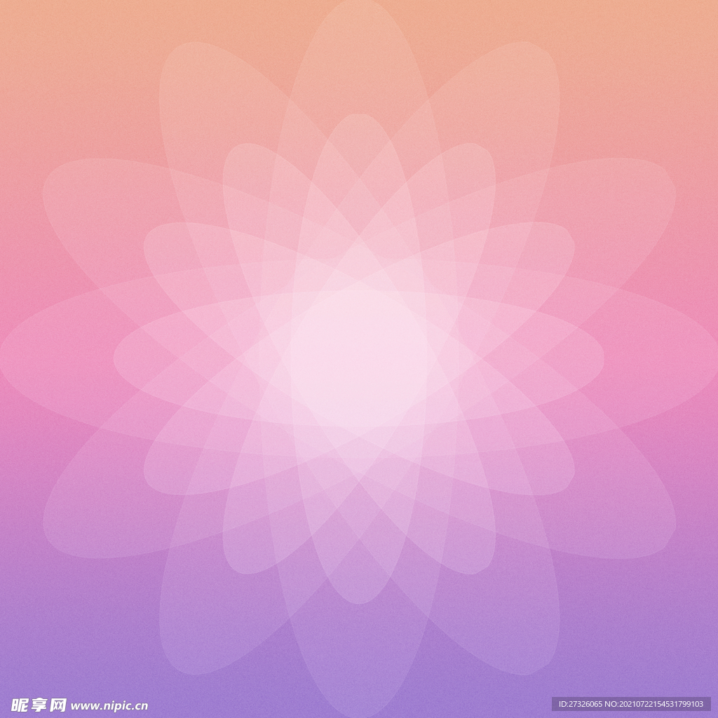 花瓣背景