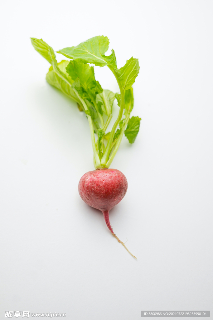 蔬菜