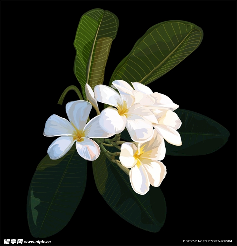 花