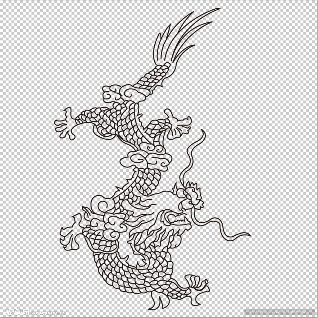 龙
