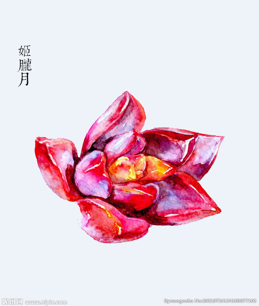 png格式植物花卉手绘素材