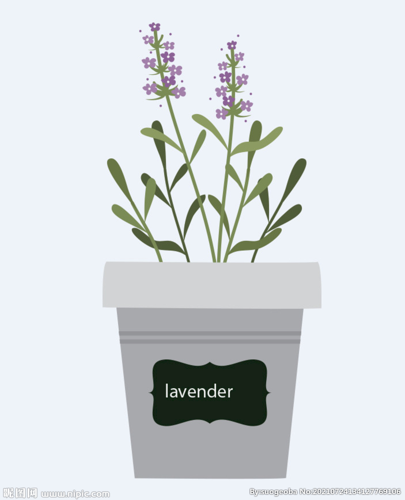 png格式植物花卉手绘素材