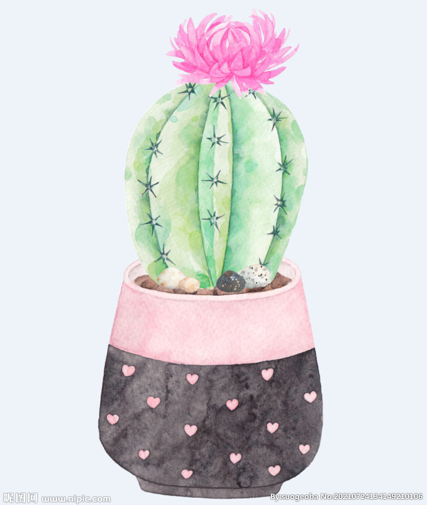 png格式植物花卉手绘素材