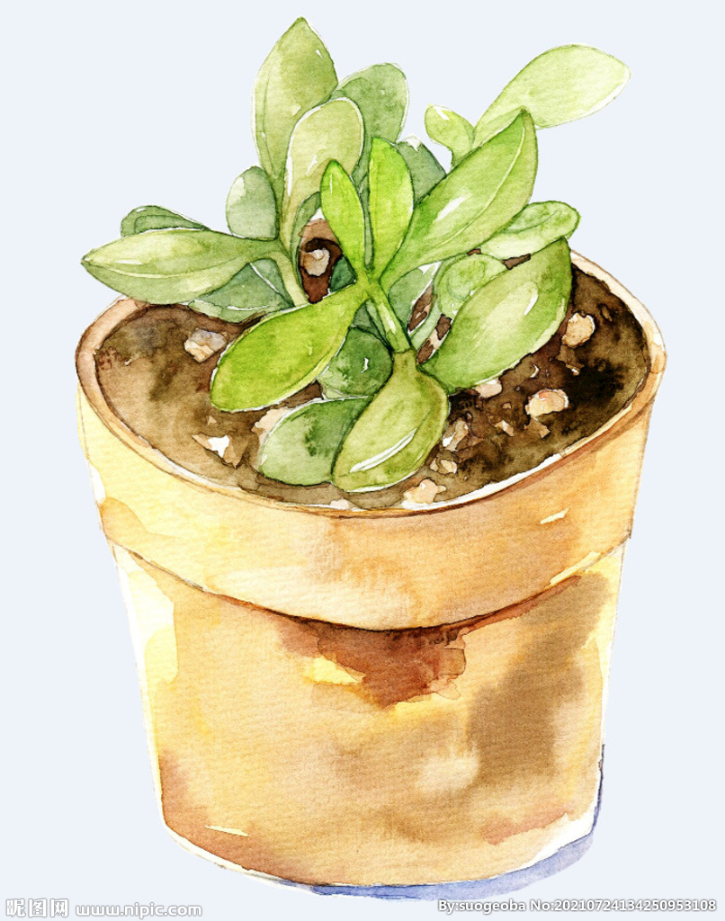 png格式植物花卉手绘素材