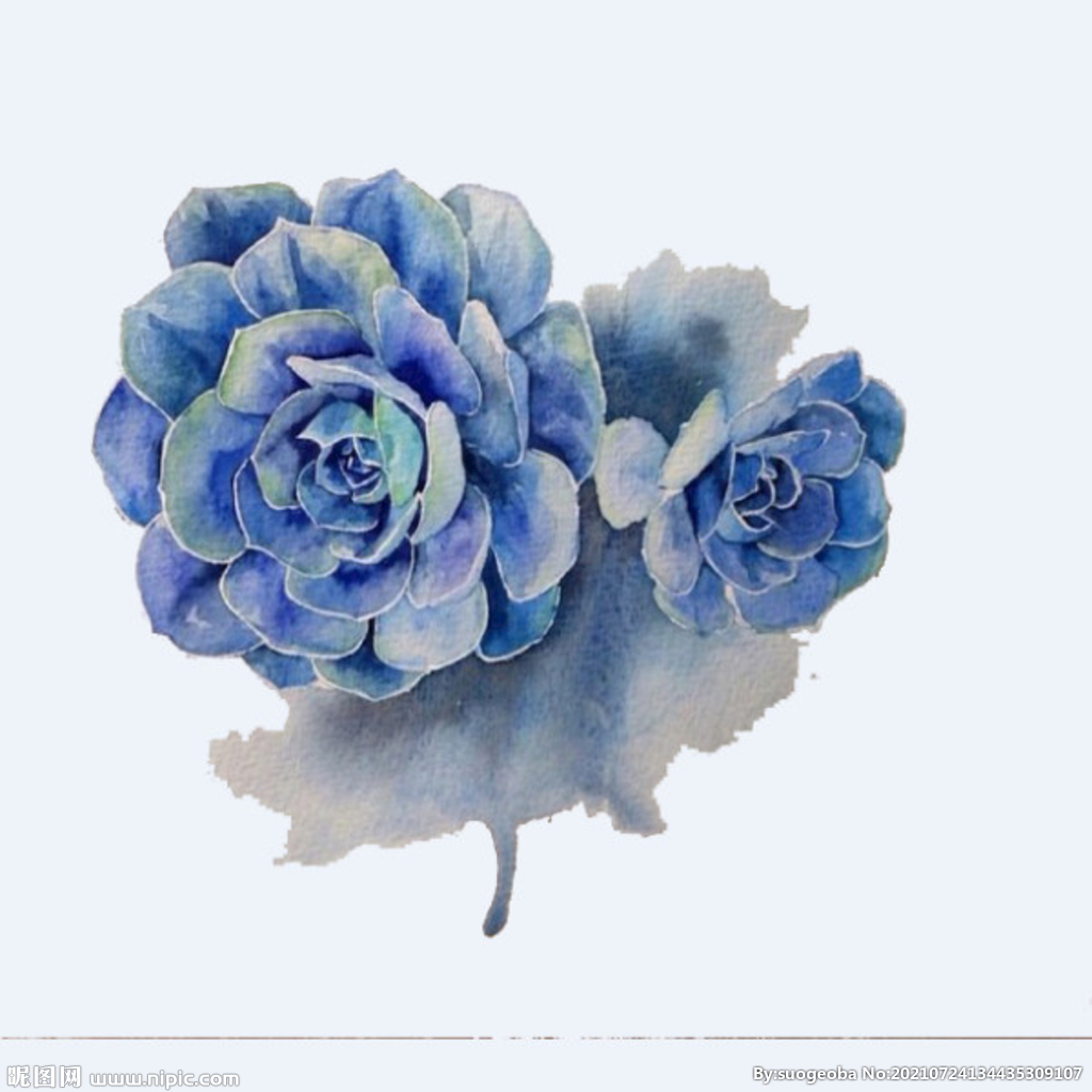 png格式植物花卉手绘素材