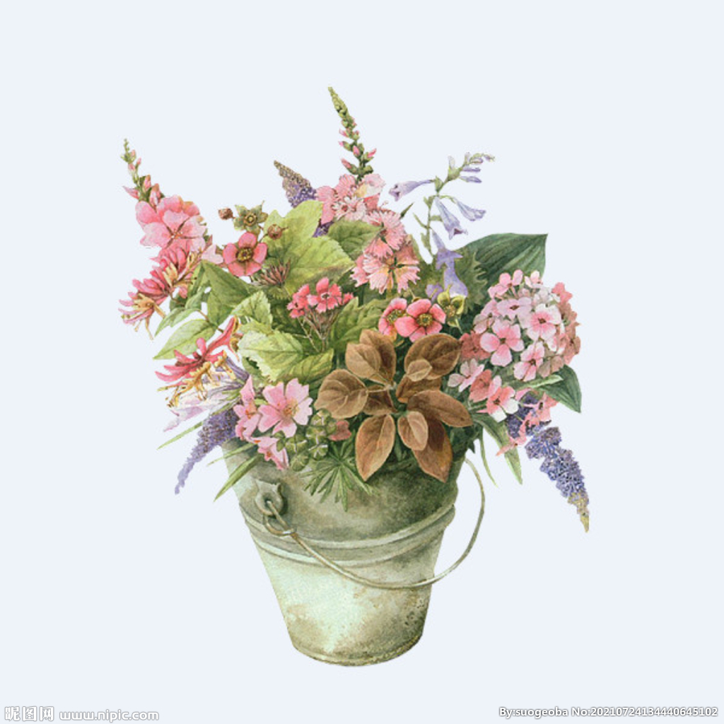 png格式植物花卉手绘素材