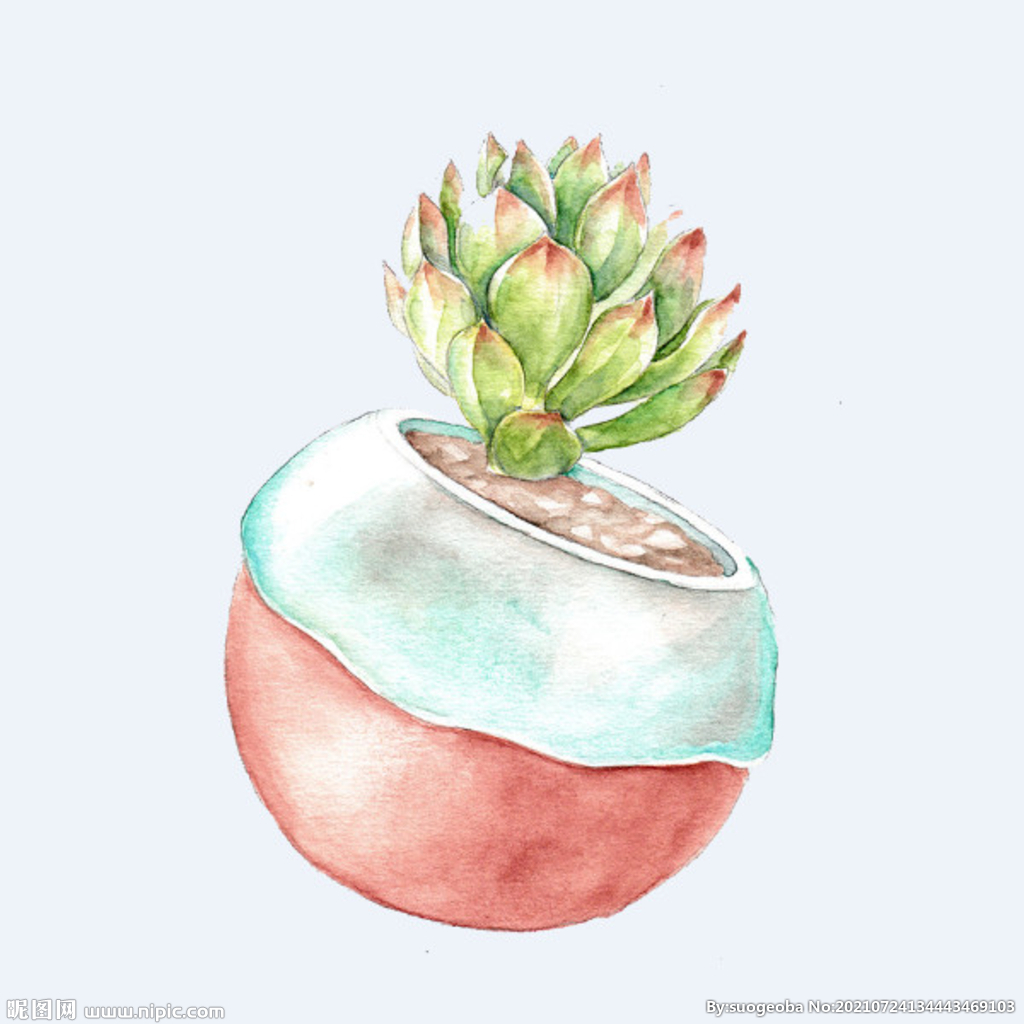 png格式植物花卉手绘素材