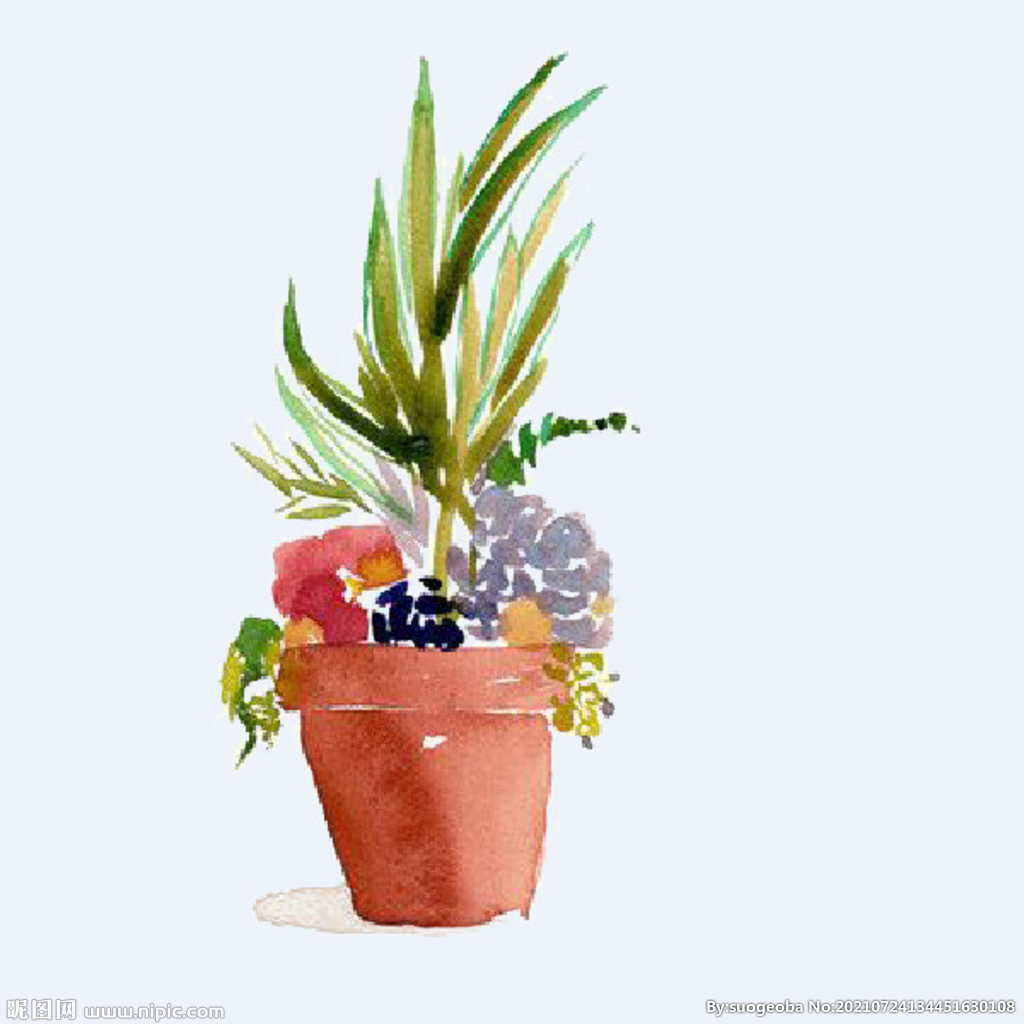 png格式植物花卉手绘素材