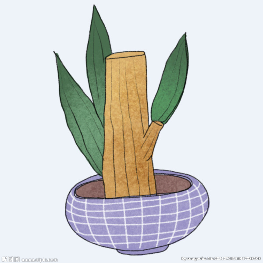 png格式植物花卉手绘素材