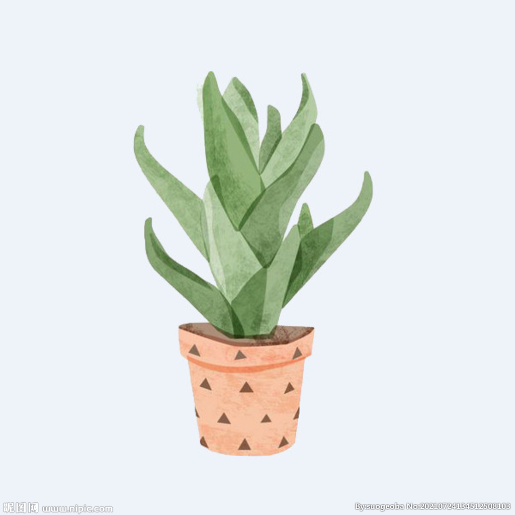 png格式植物花卉手绘素材