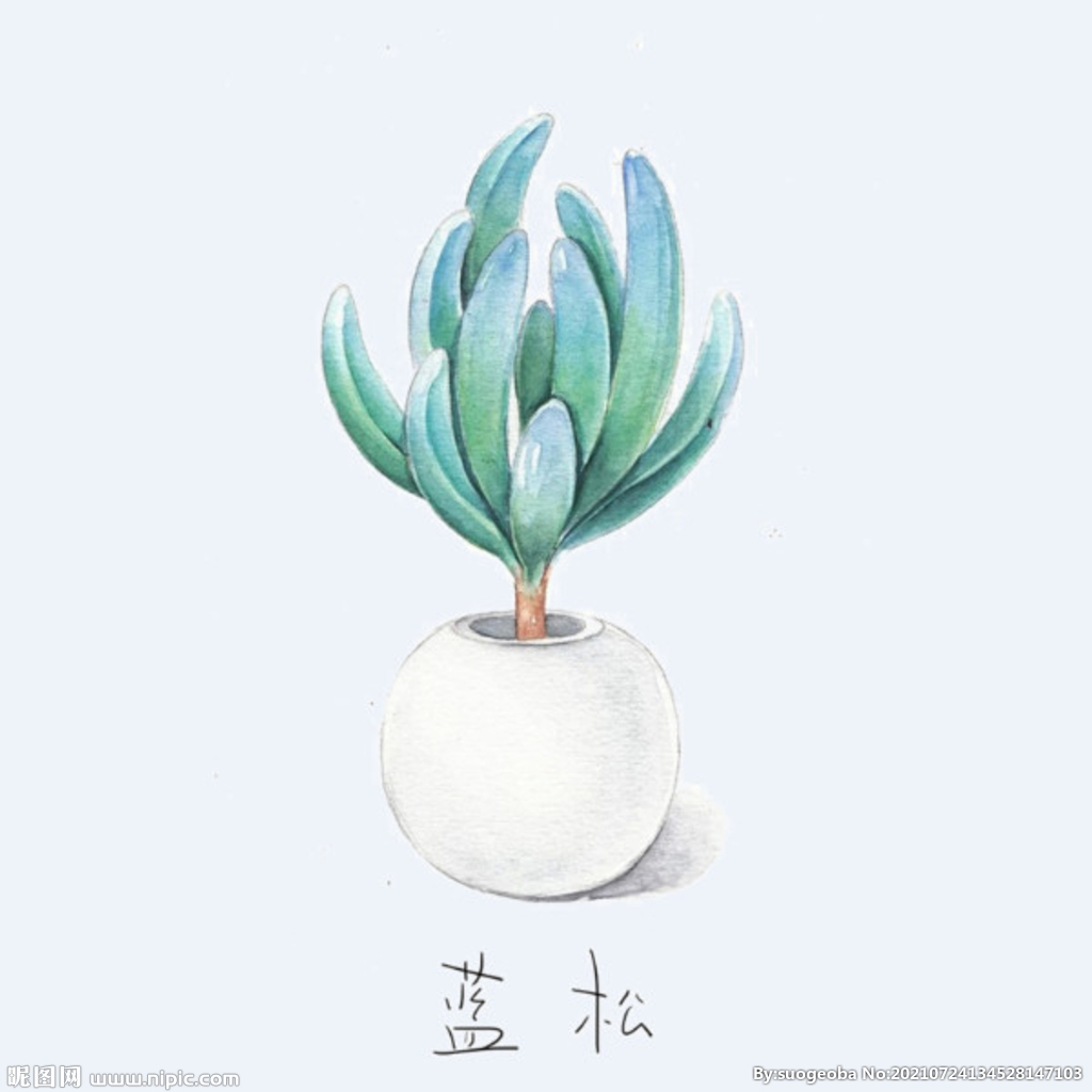 png格式植物花卉手绘素材