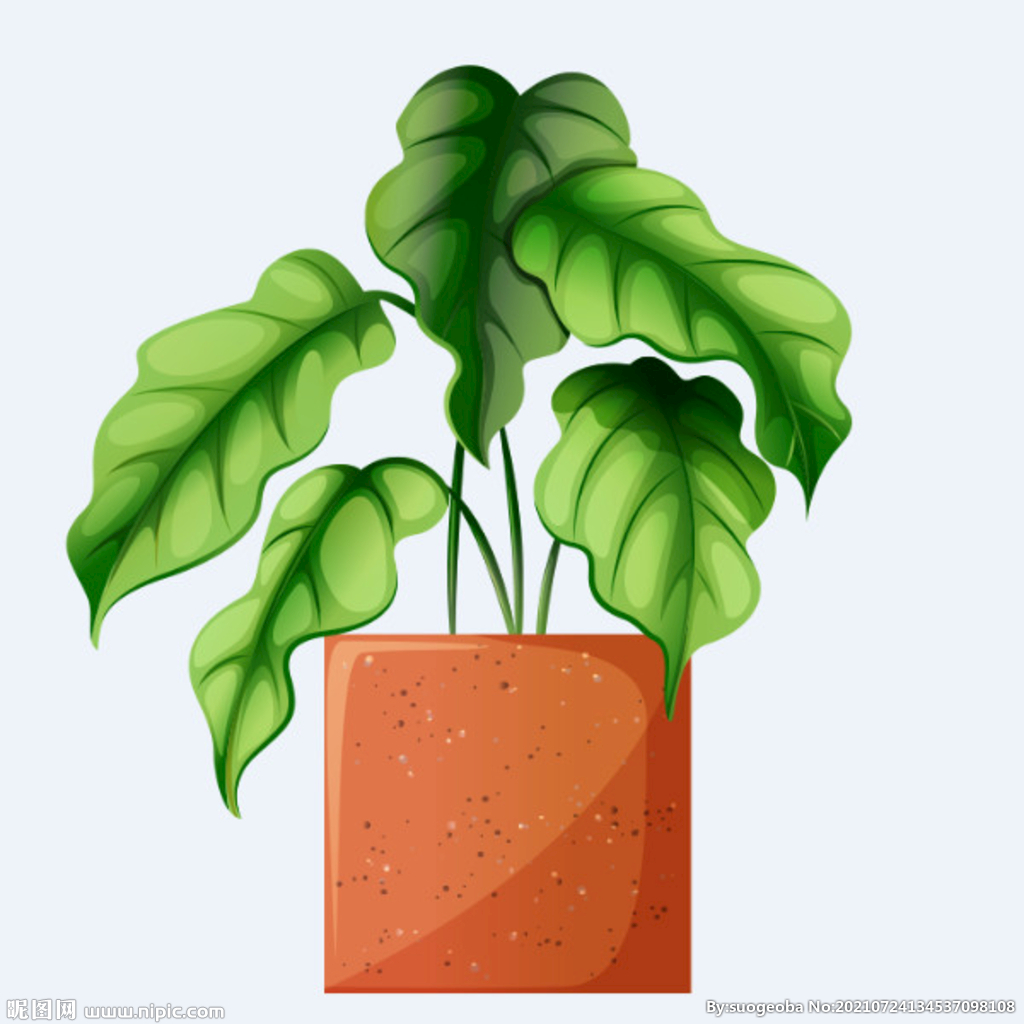 png格式植物花卉手绘素材