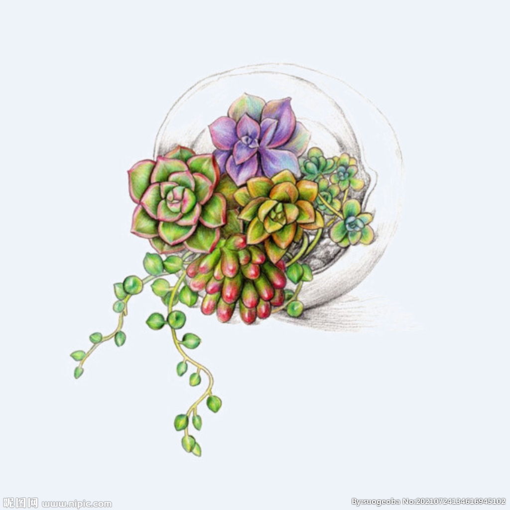 png格式植物花卉手绘素材