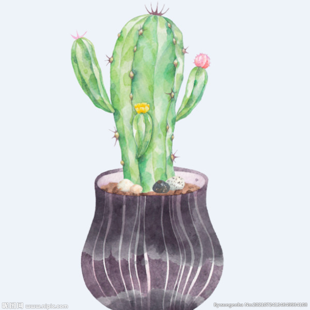 png格式植物花卉手绘素材