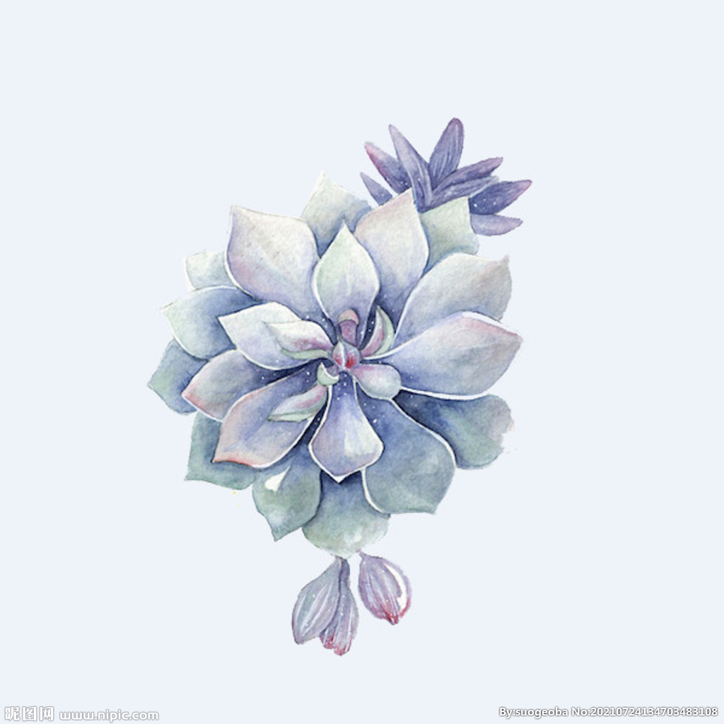 png格式植物花卉手绘素材