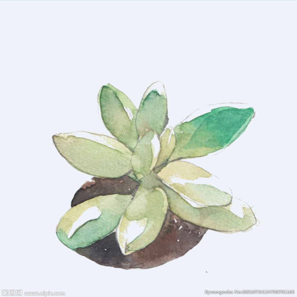 png格式植物花卉手绘素材