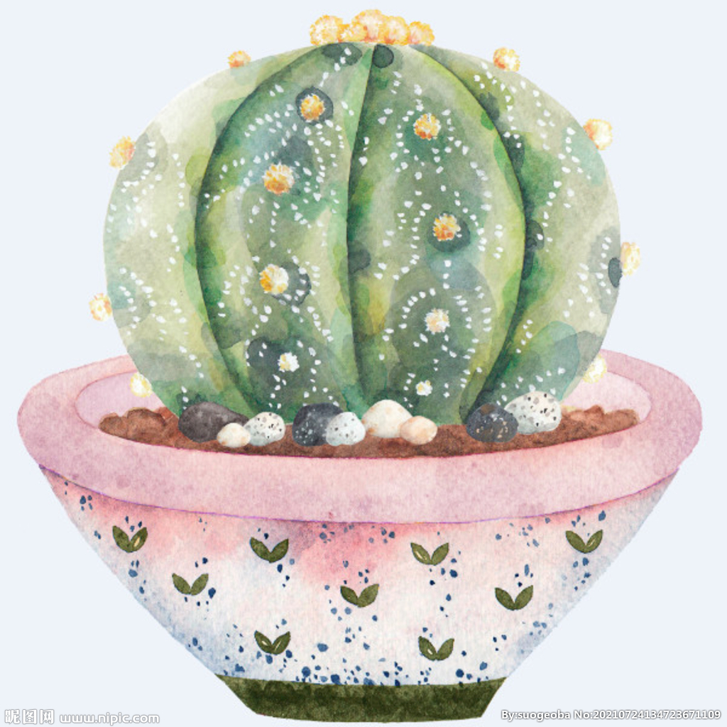 png格式植物花卉手绘素材