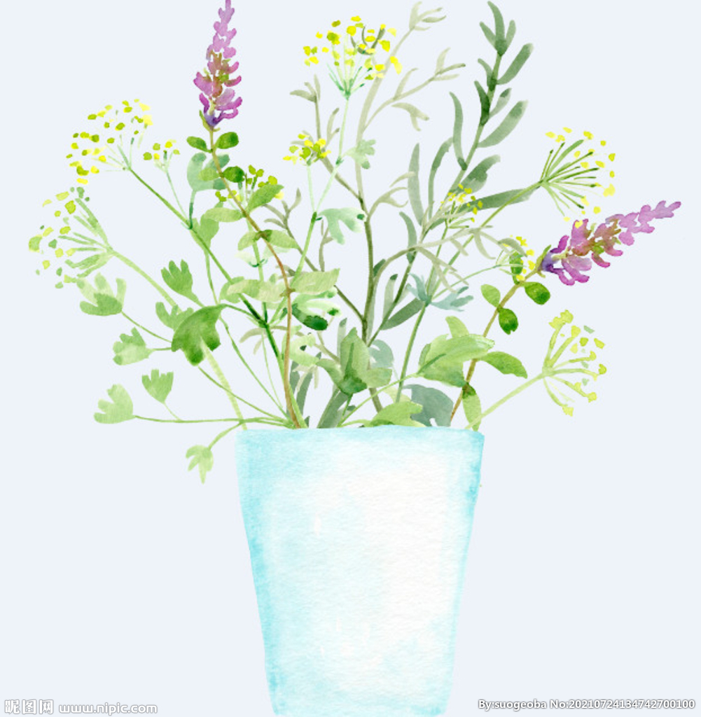 png格式植物花卉手绘素材