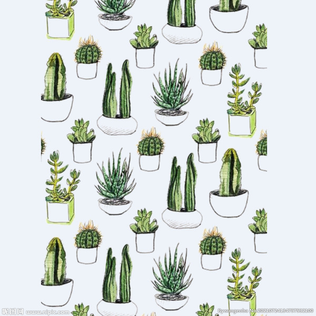 png格式植物花卉手绘素材