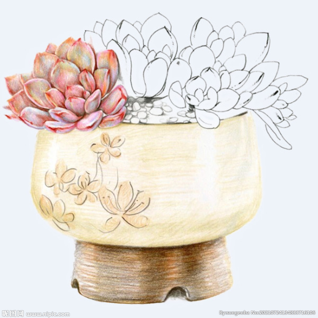 png格式植物花卉手绘素材