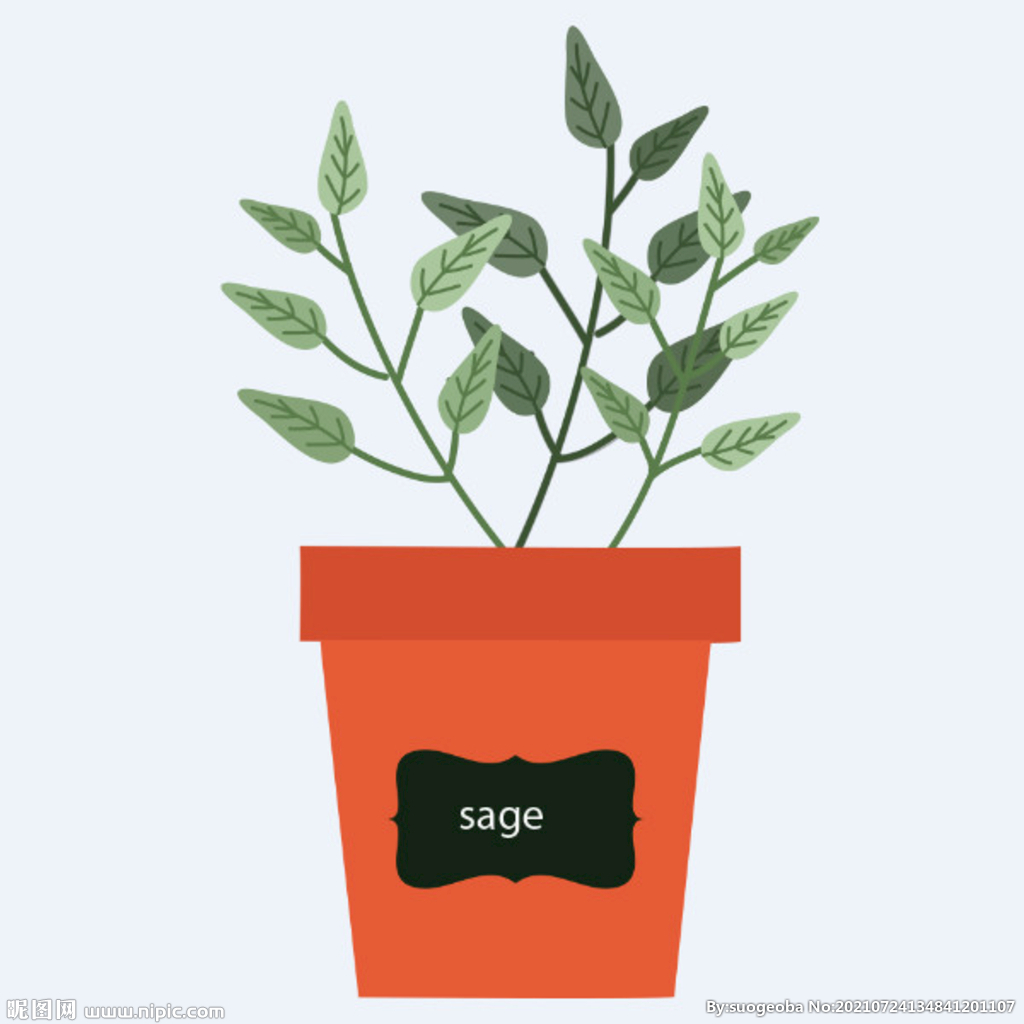 png格式植物花卉手绘素材