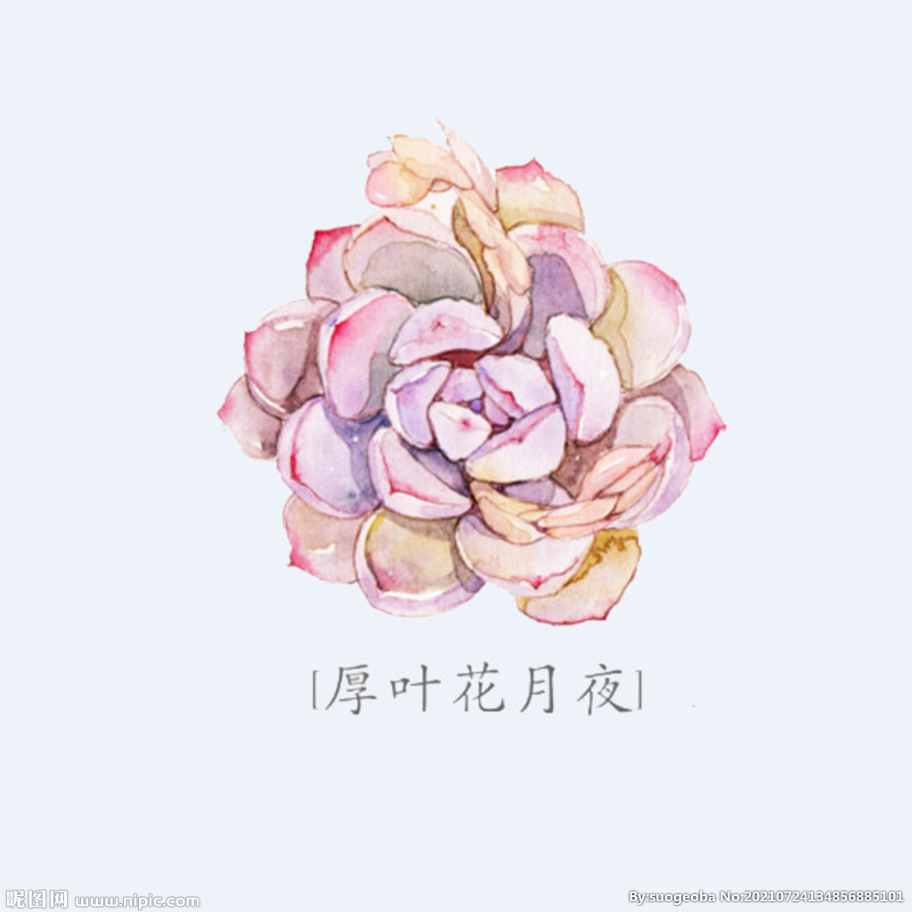 png格式植物花卉手绘素材