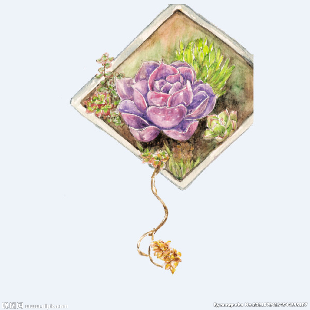 png格式植物花卉手绘素材