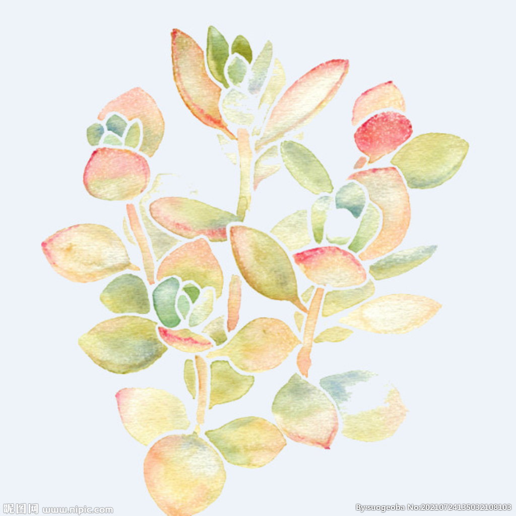 png格式植物花卉手绘素材