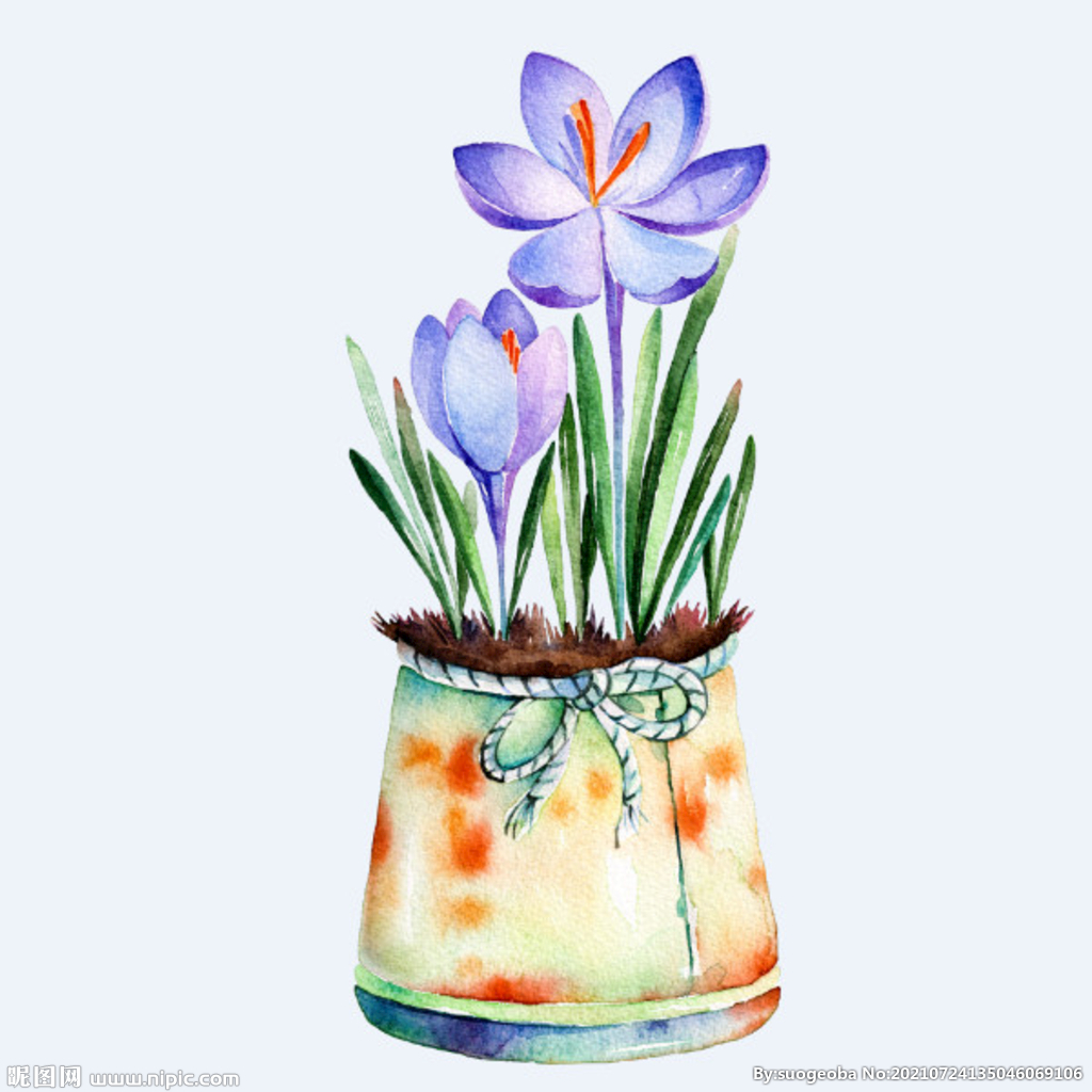 png格式植物花卉手绘素材