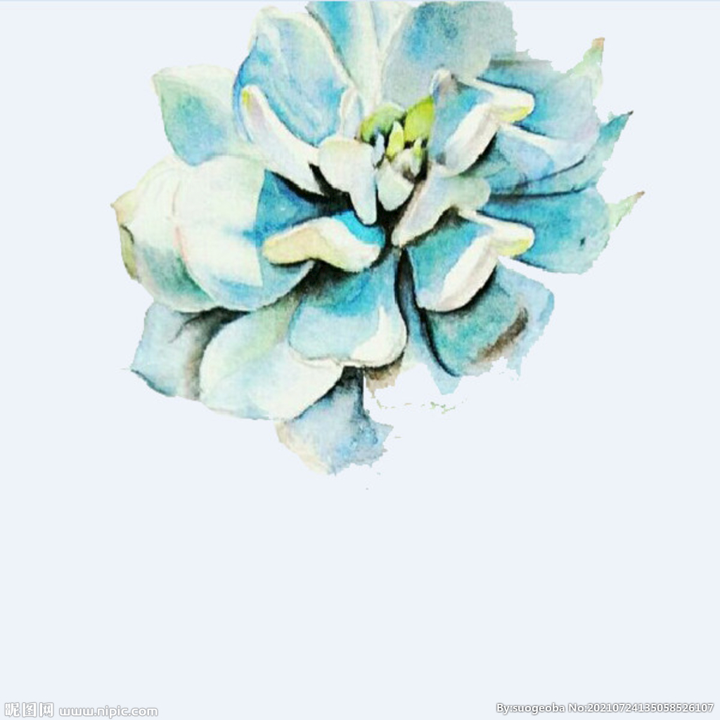 png格式植物花卉手绘素材