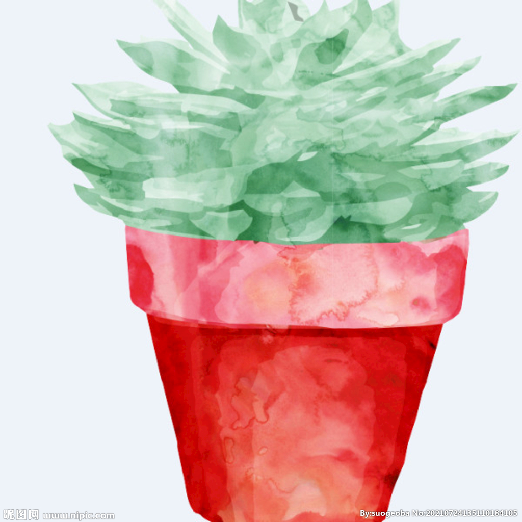 png格式植物花卉手绘素材