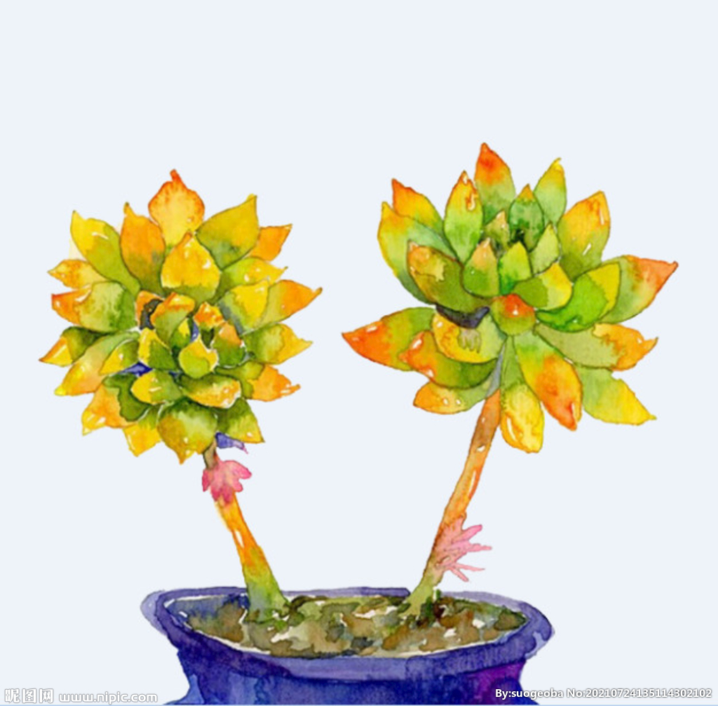 png格式植物花卉手绘素材