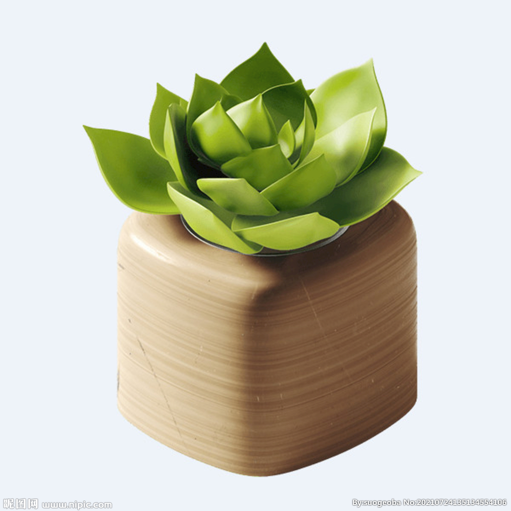 png格式植物花卉手绘素材