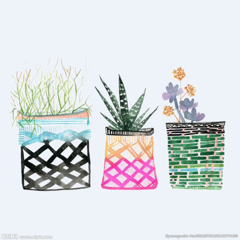 png格式植物花卉手绘素材