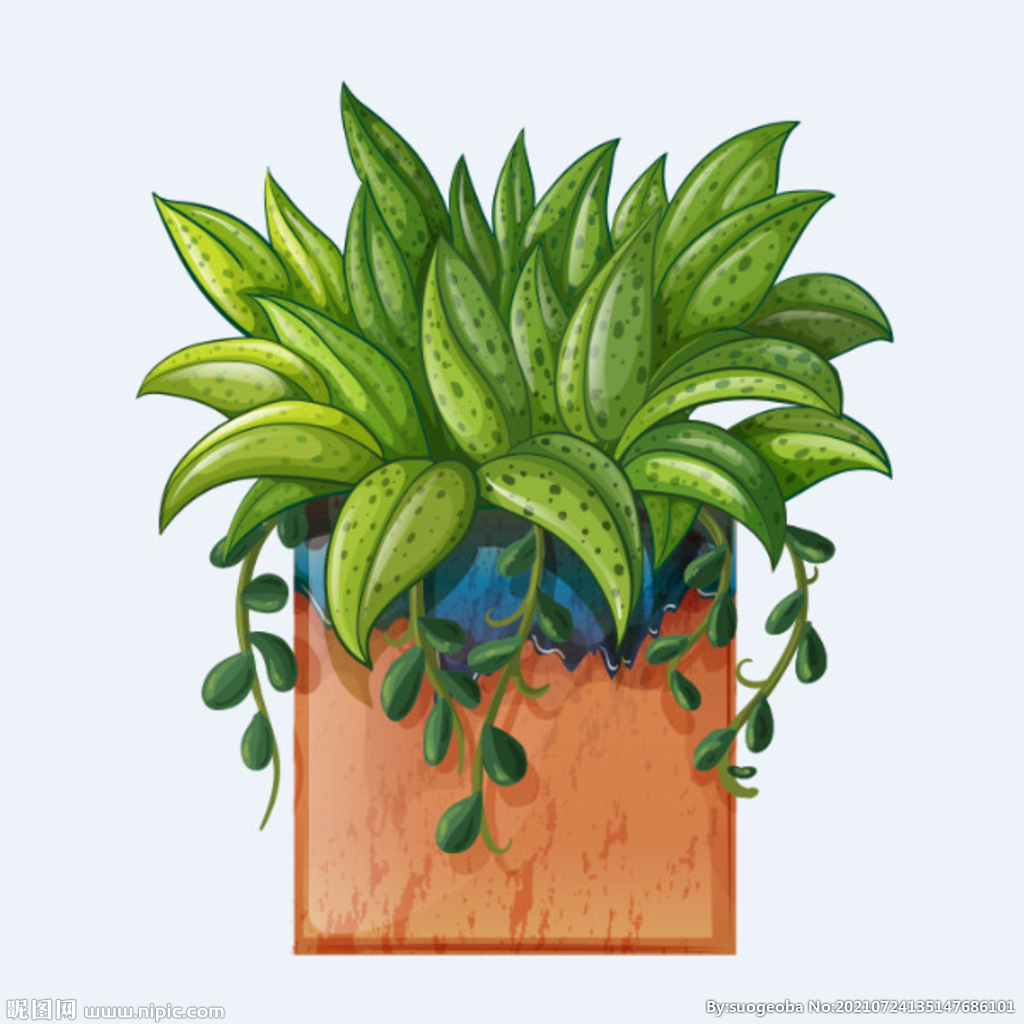 png格式植物花卉手绘素材