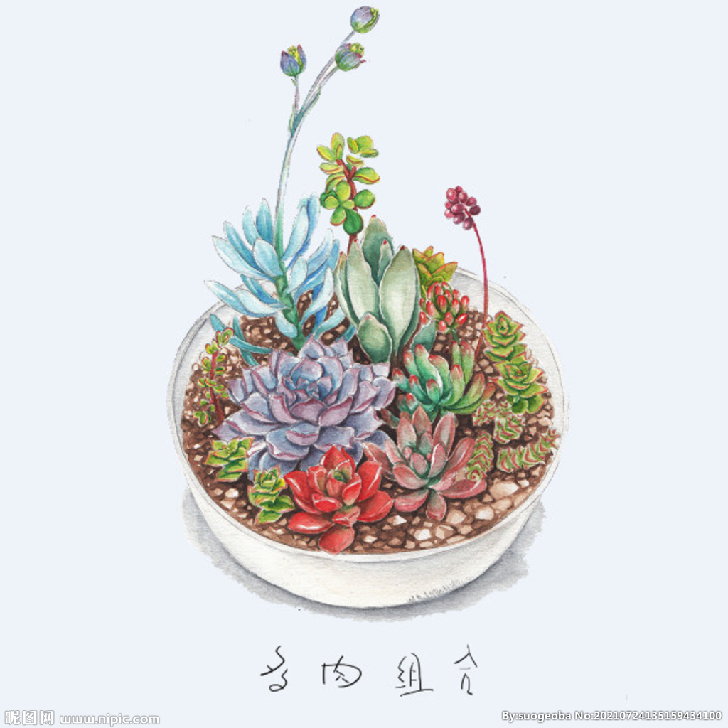 png格式植物花卉手绘素材