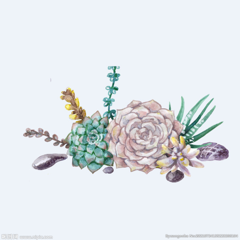 png格式植物花卉手绘素材