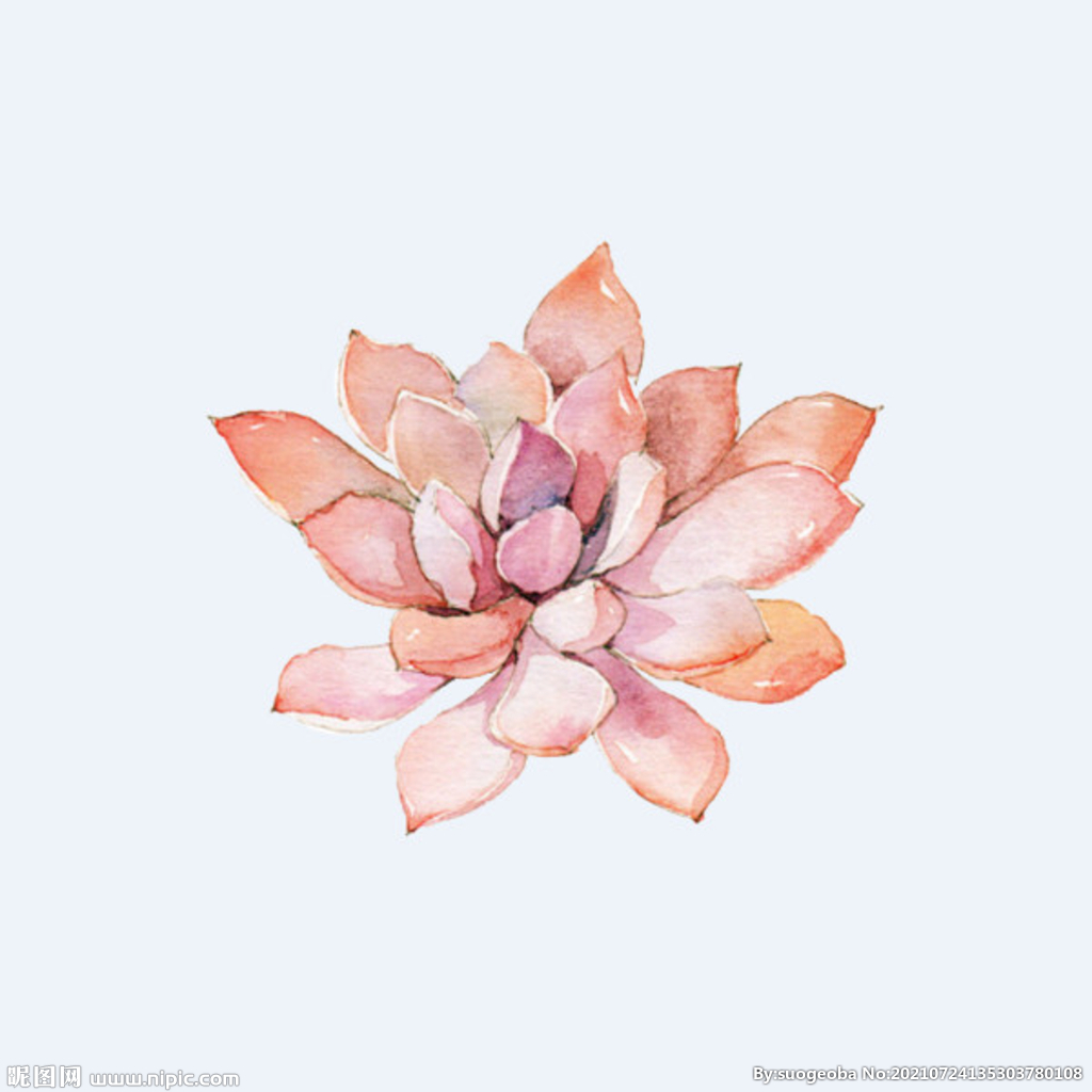 png格式植物花卉手绘素材