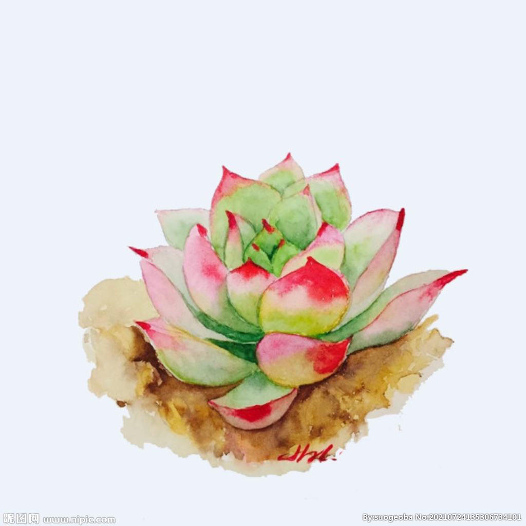 png格式植物花卉手绘素材