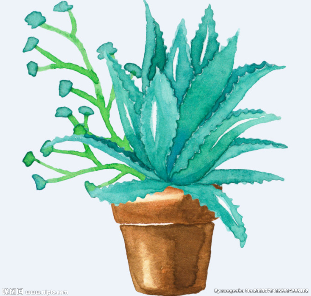 png格式植物花卉手绘素材