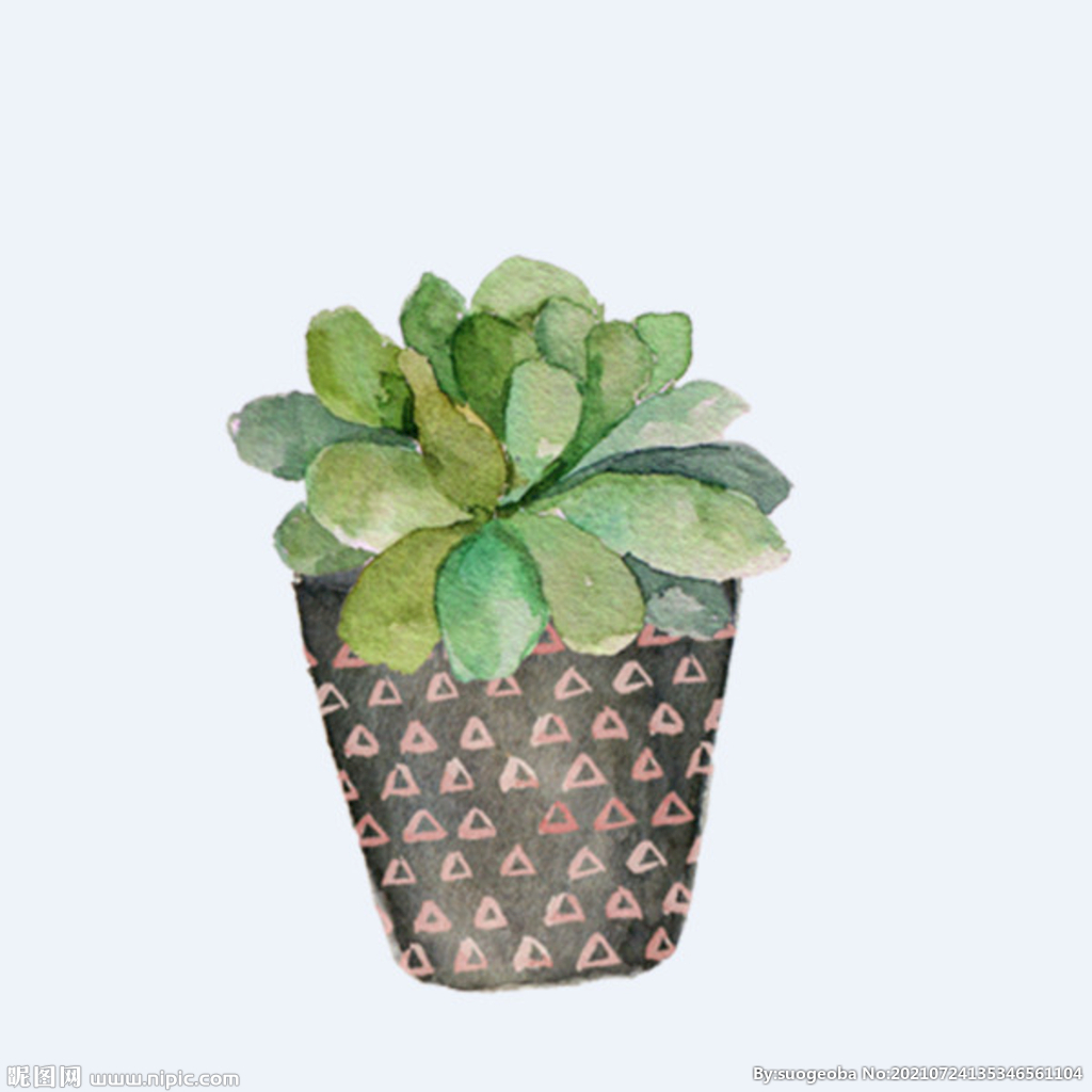 png格式植物花卉手绘素材