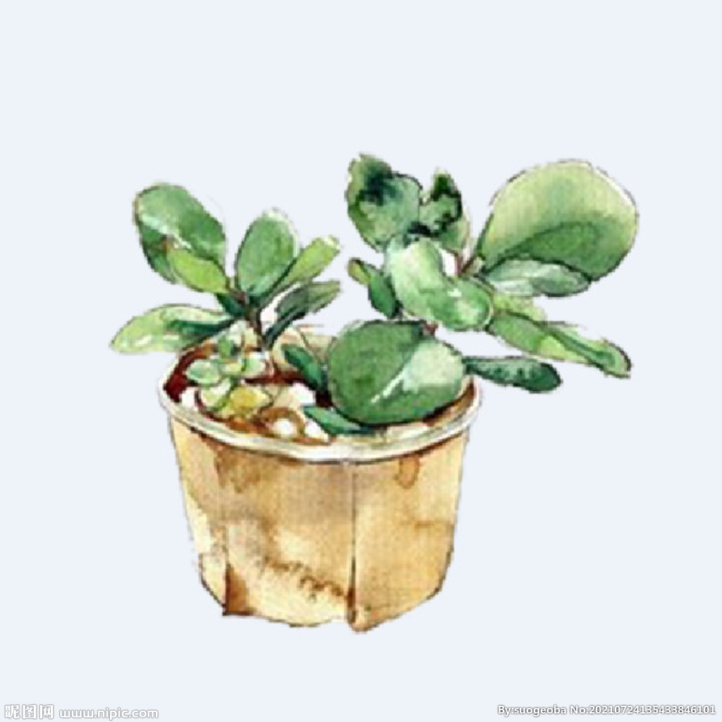 png格式植物花卉手绘素材